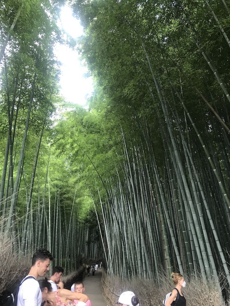 嵐山