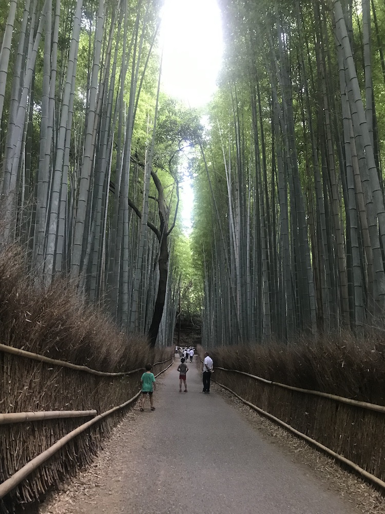 arashiyama